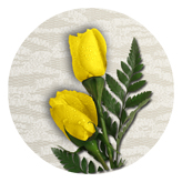 DAROUND 059 2 Roses Yellow